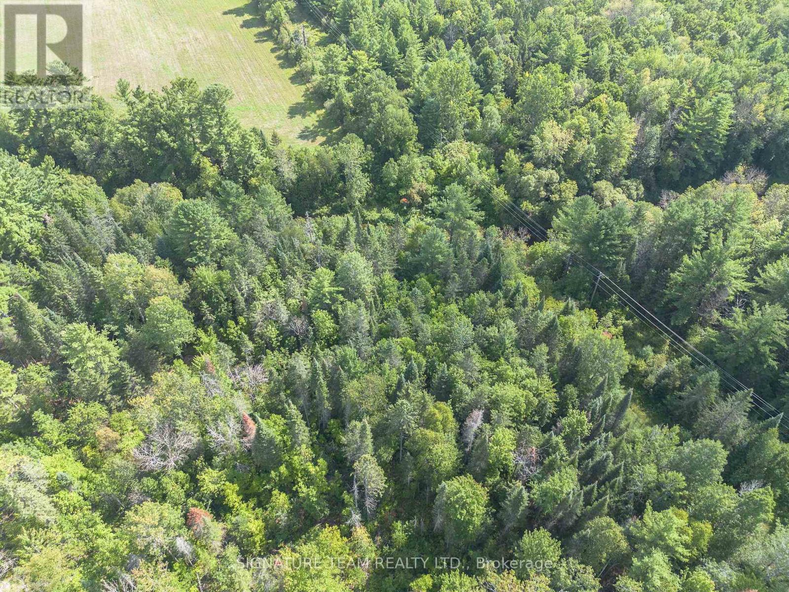0 Mud Lake Road Property Photo 9