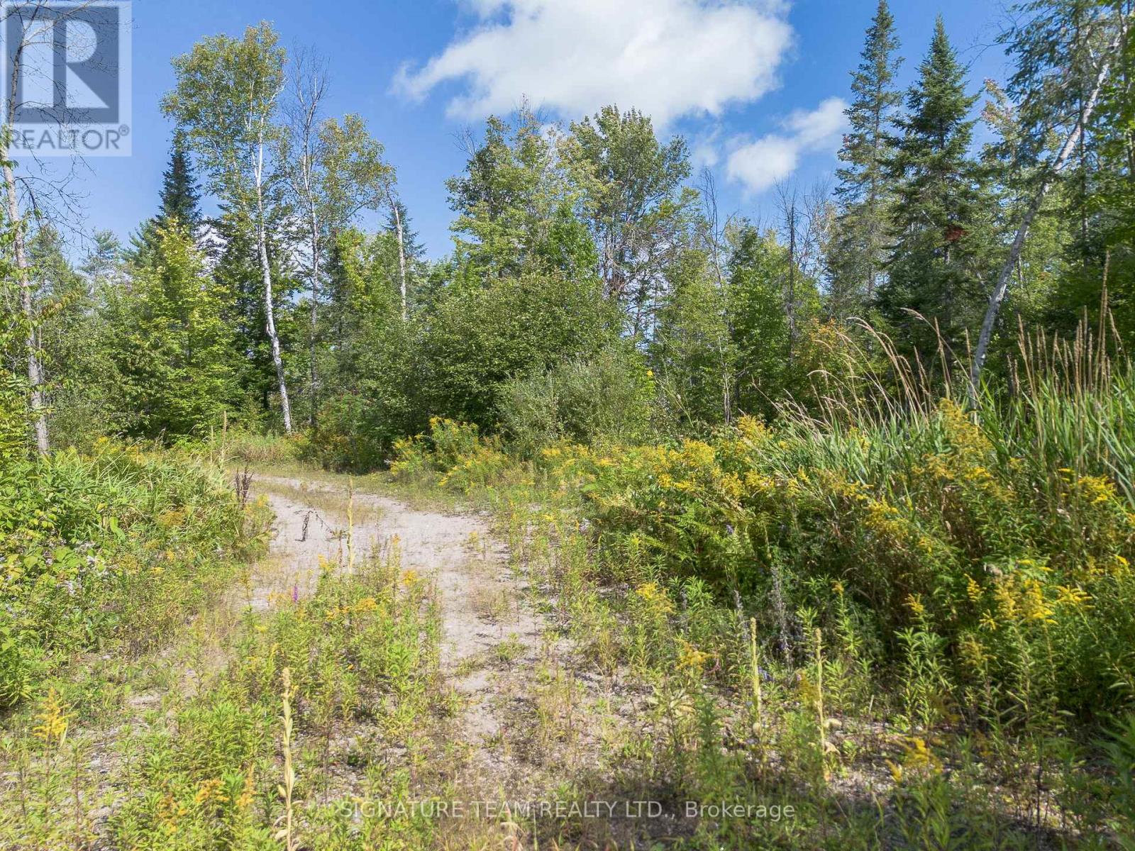 0 Mud Lake Road Property Photo 11