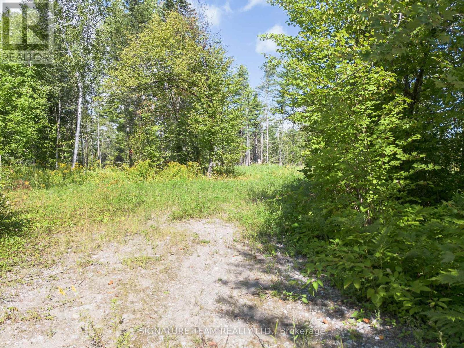 0 Mud Lake Road Property Photo 12