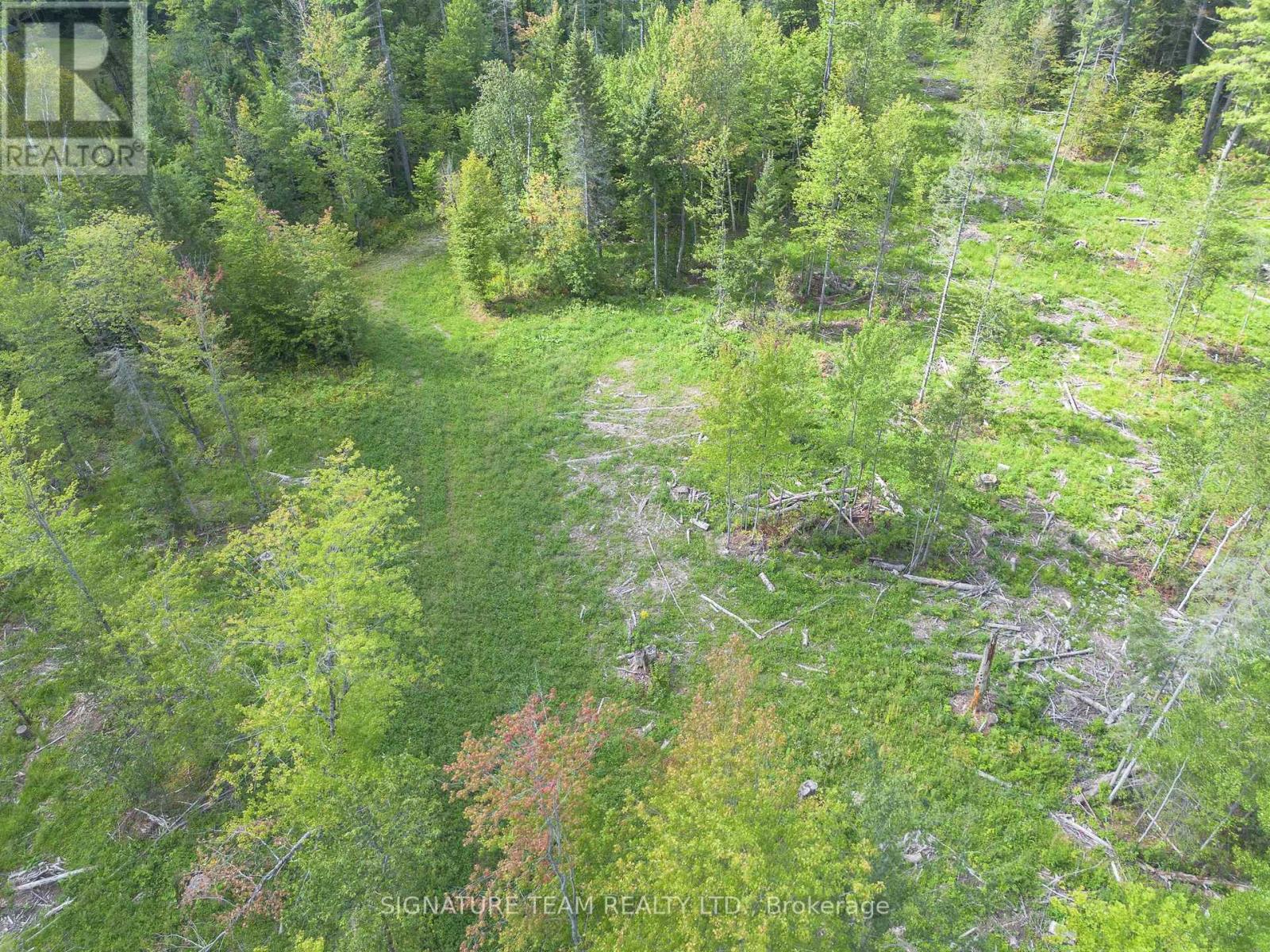 0 Mud Lake Road Property Photo 23