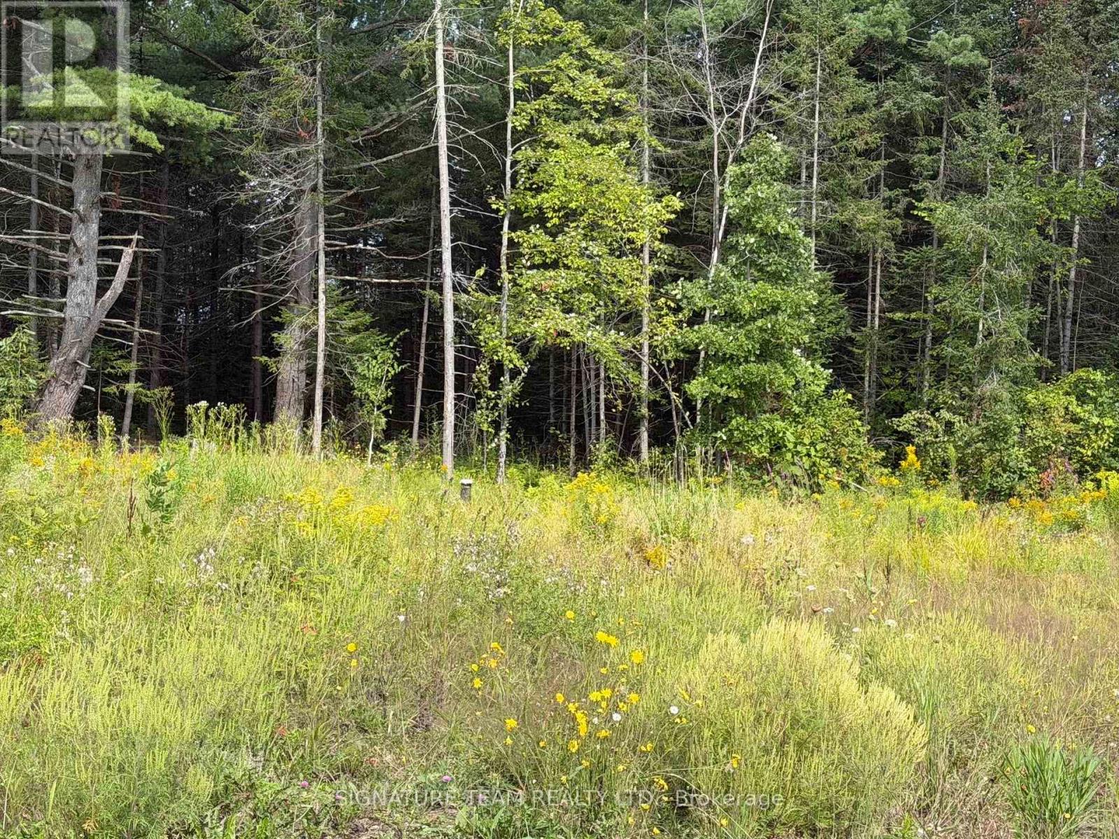 0 Mud Lake Road Property Photo 24