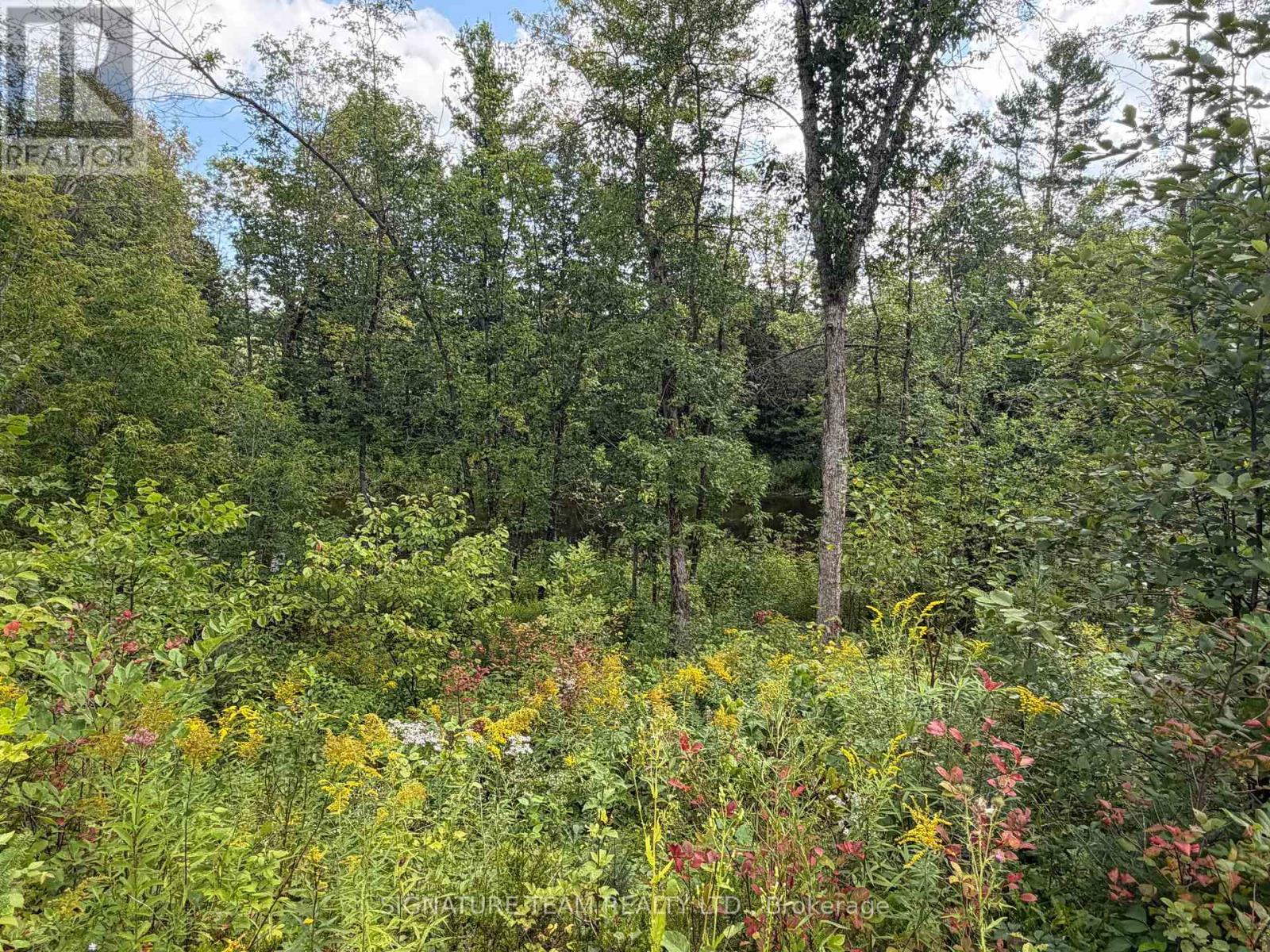 0 Mud Lake Road Property Photo 25