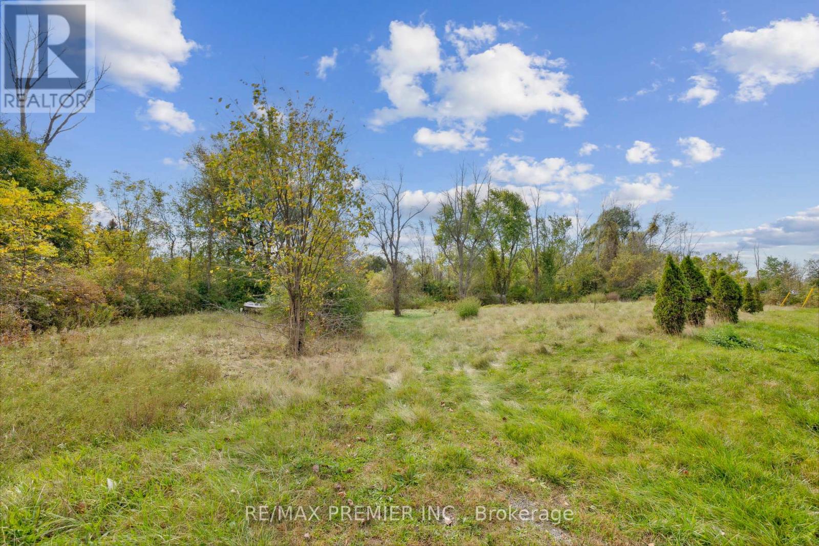 294 Lyon's Creek Road Property Photo 20