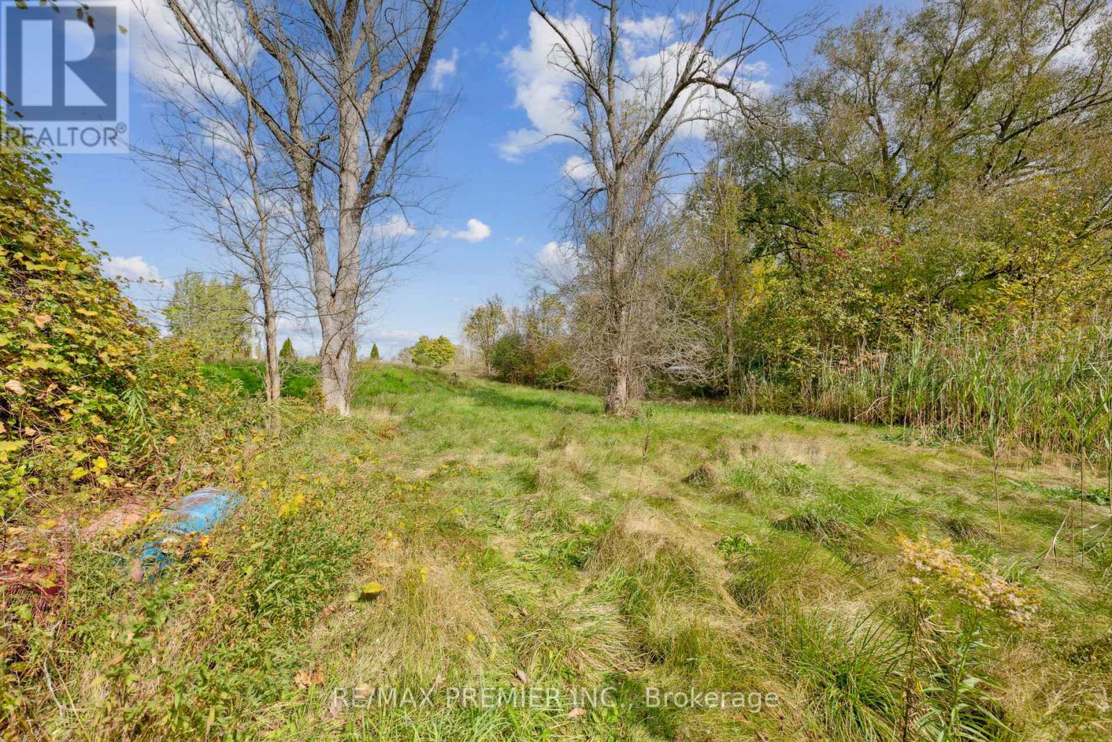 294 Lyon's Creek Road Property Photo 22