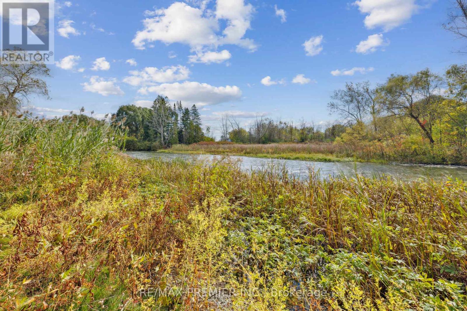 294 Lyon's Creek Road Property Photo 23