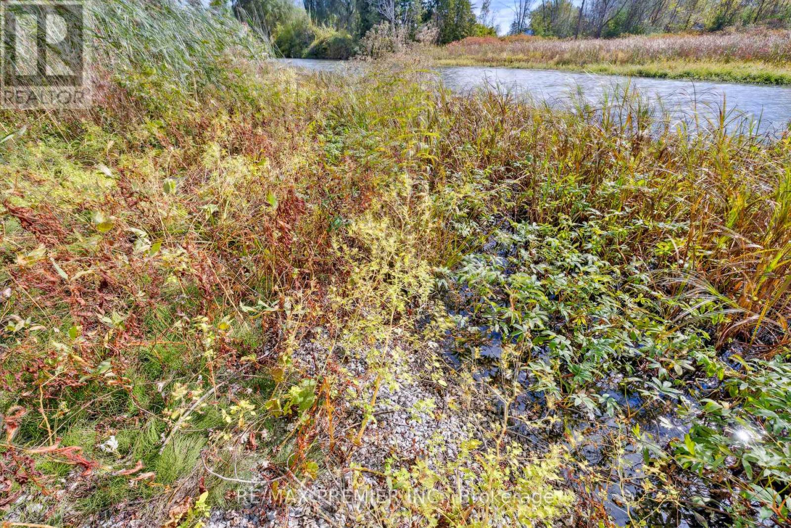 294 Lyon's Creek Road Property Photo 24