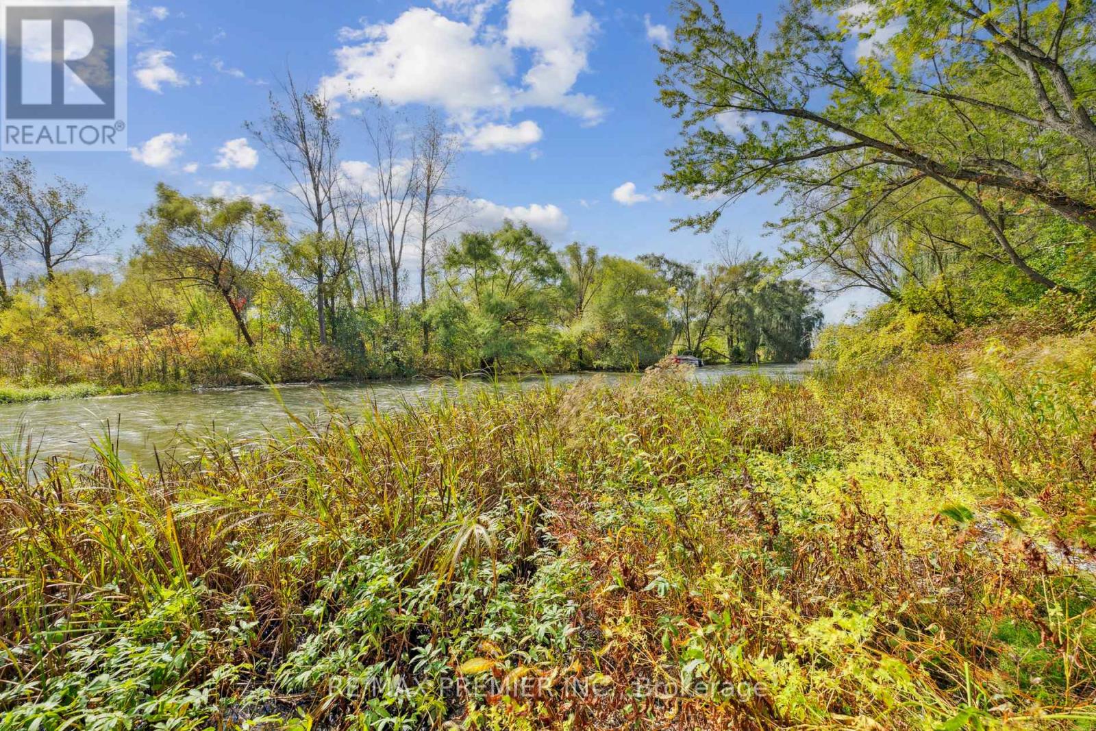 294 Lyon's Creek Road Property Photo 25