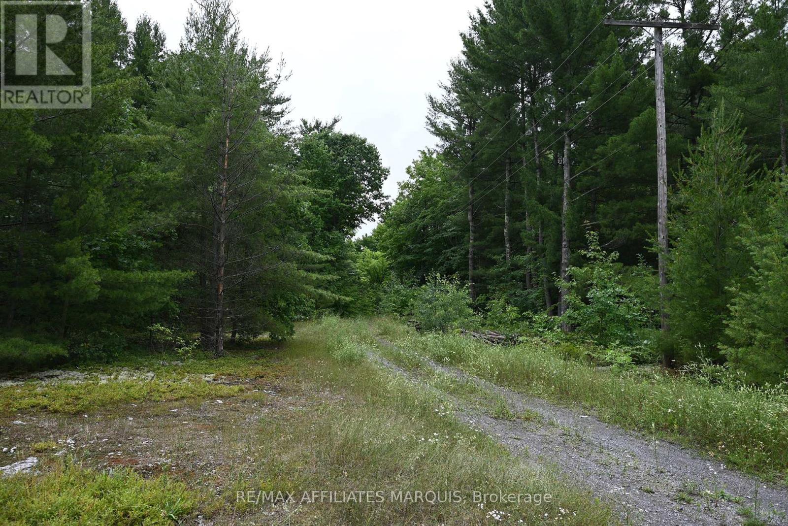 000 Highway 43 Highway Property Photo 6