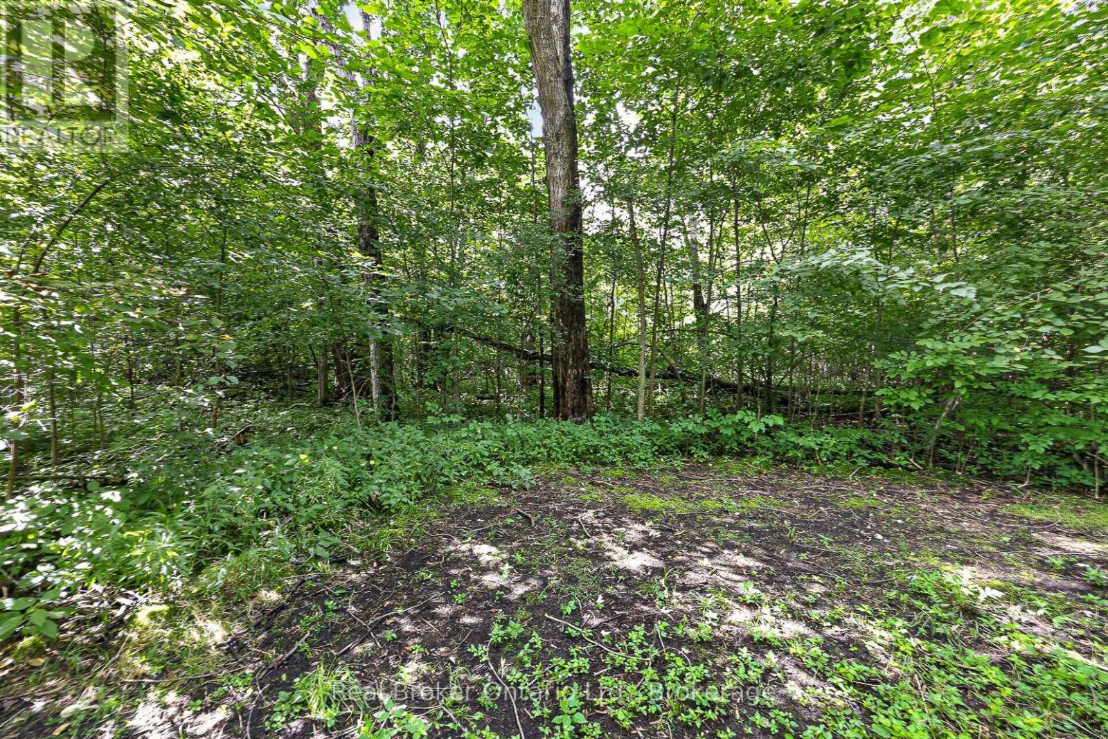 785729 Oxford Road 33 Road Property Photo 30