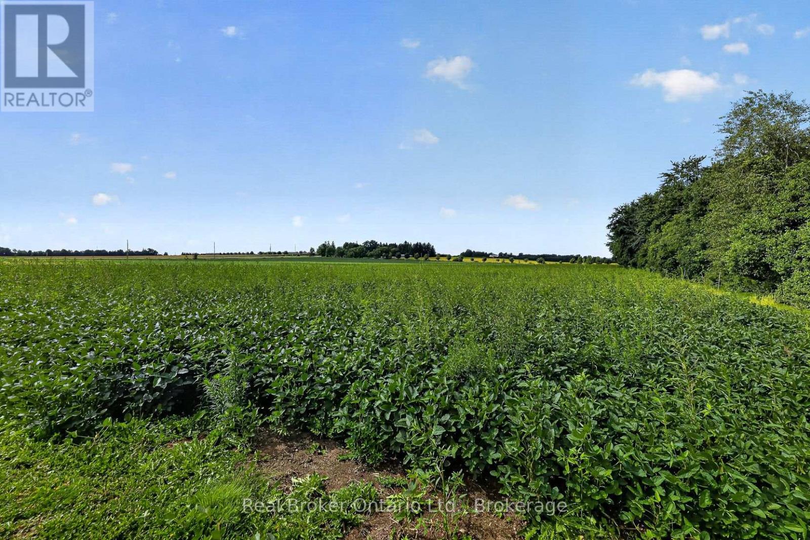785729 Oxford Road 33 Road Property Photo 38