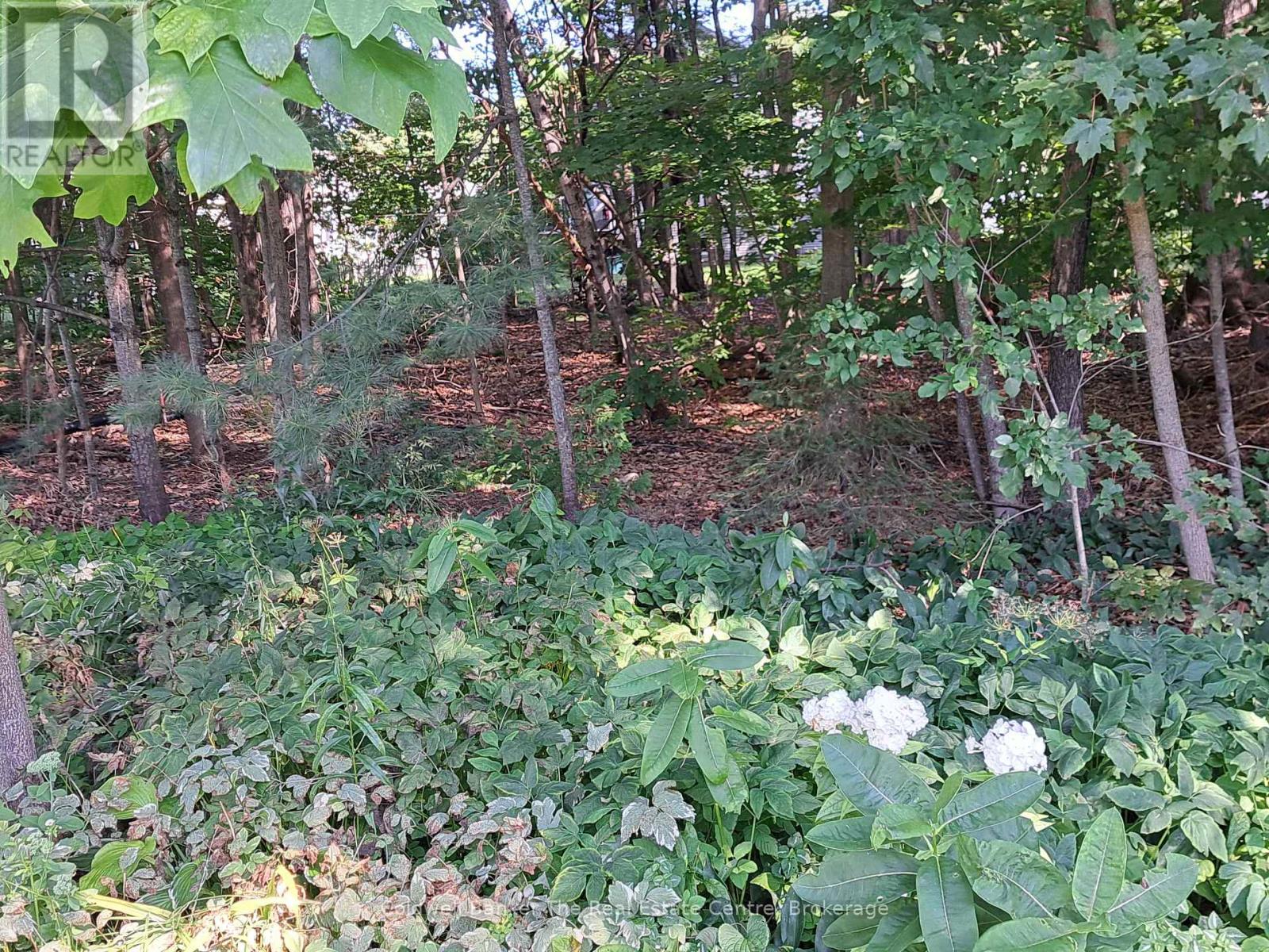 76 Pine Ridge Gate Property Photo 24