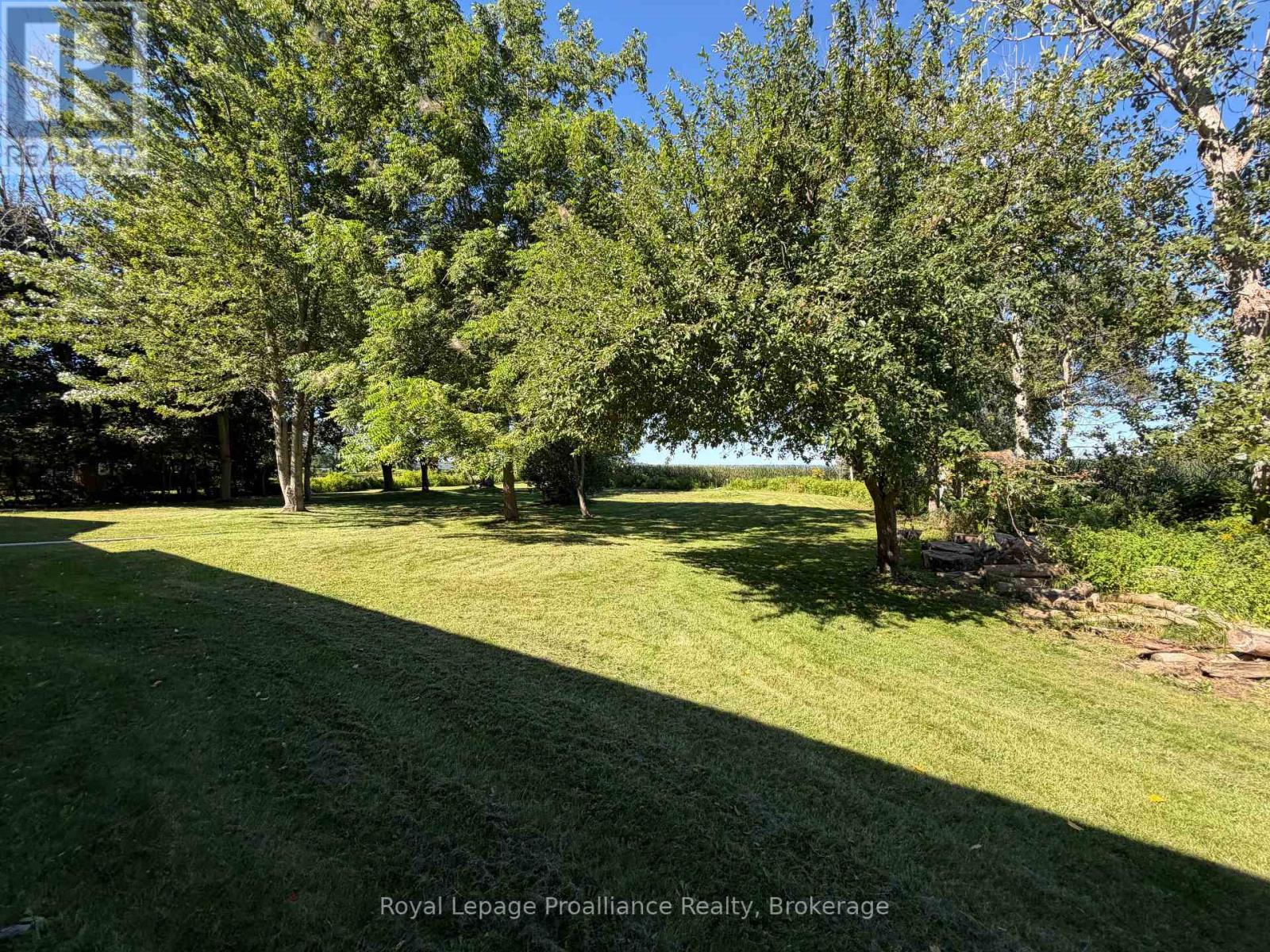 311e County Rd 29 Road Property Photo 23