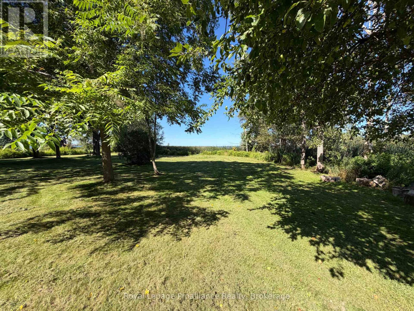 311e County Rd 29 Road Property Photo 24