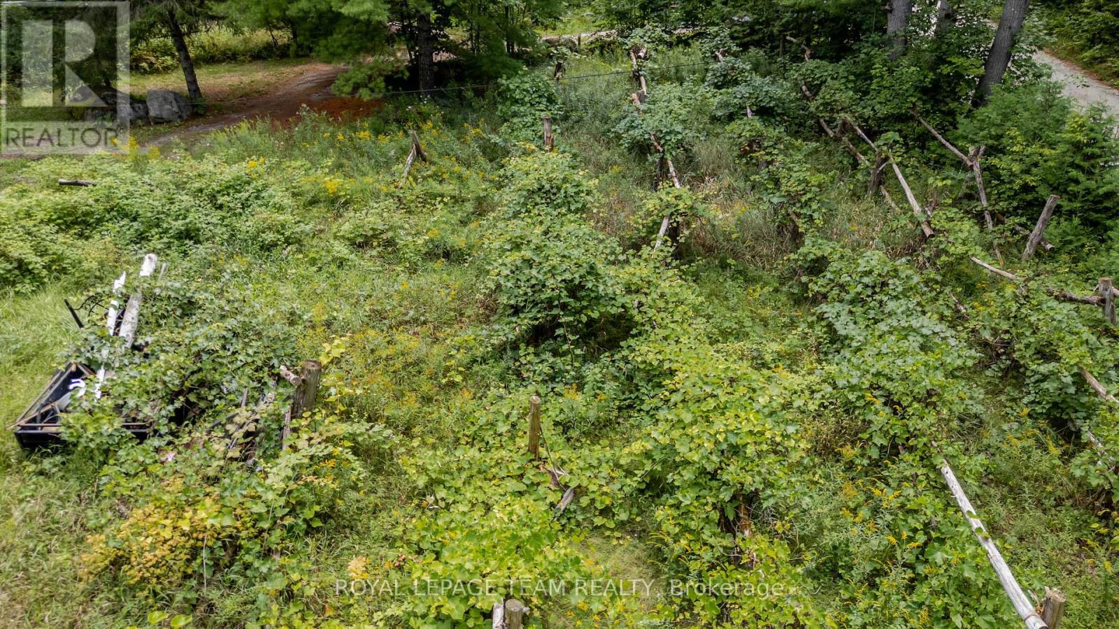 884 Concession 7 Road Property Photo 16