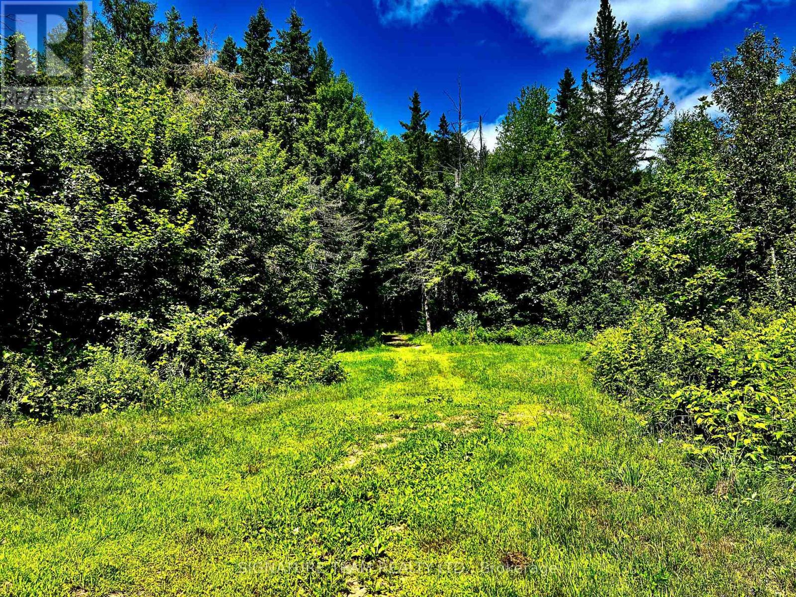 174 Budd Road Property Photo 21