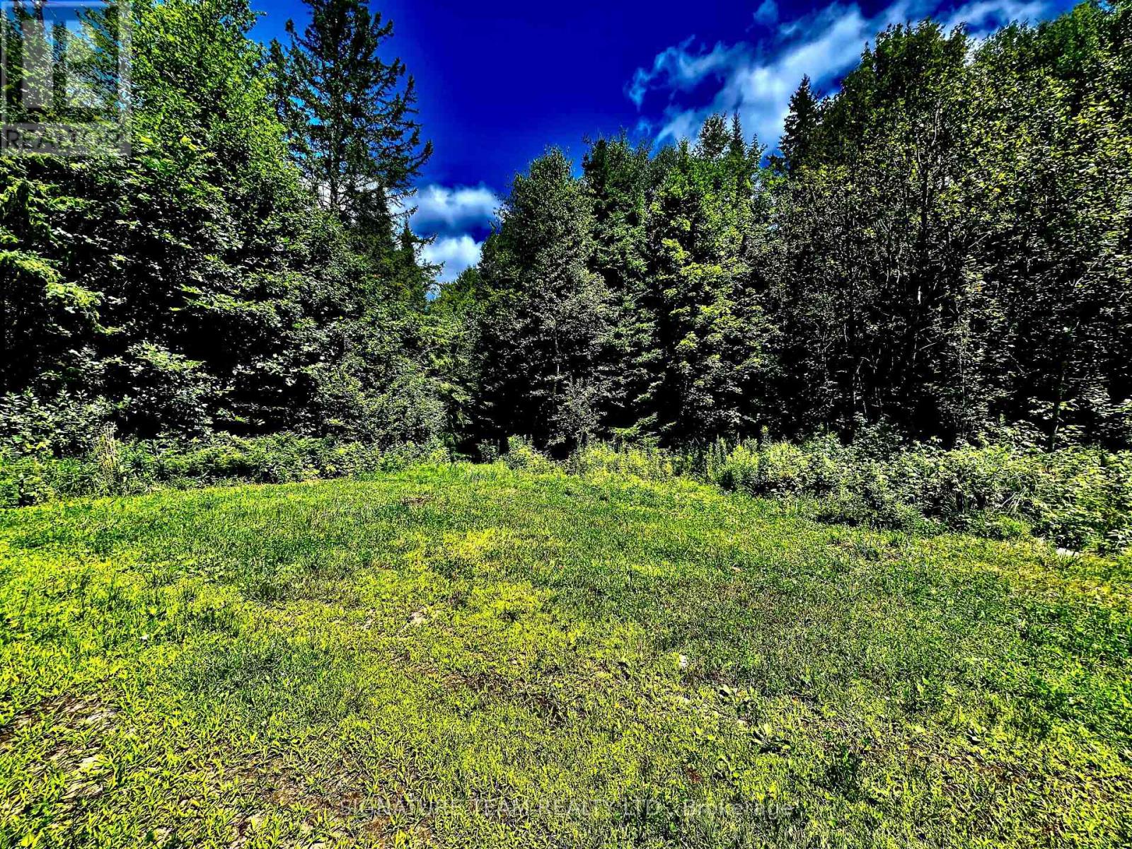 174 Budd Road Property Photo 23