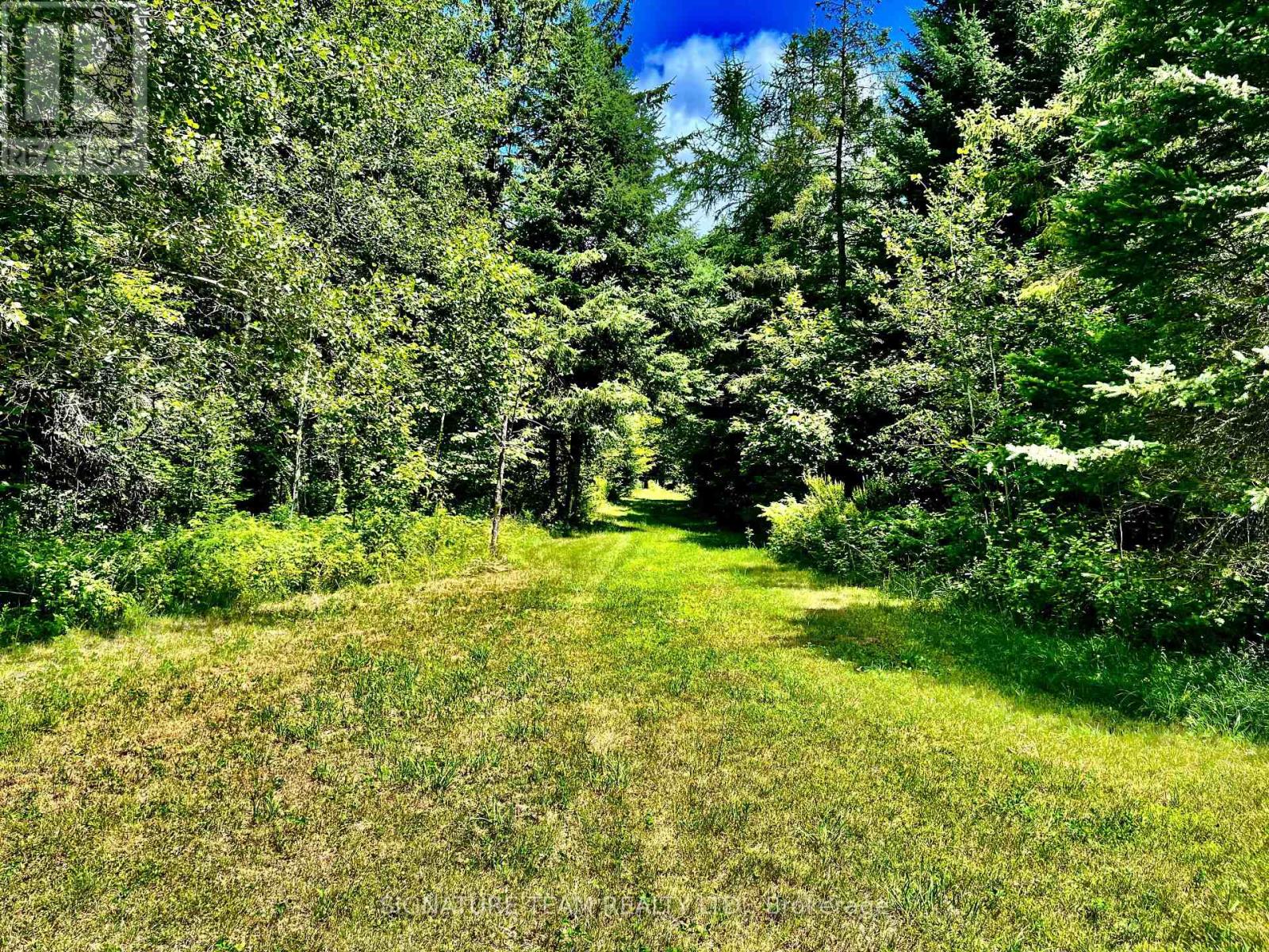 174 Budd Road Property Photo 27