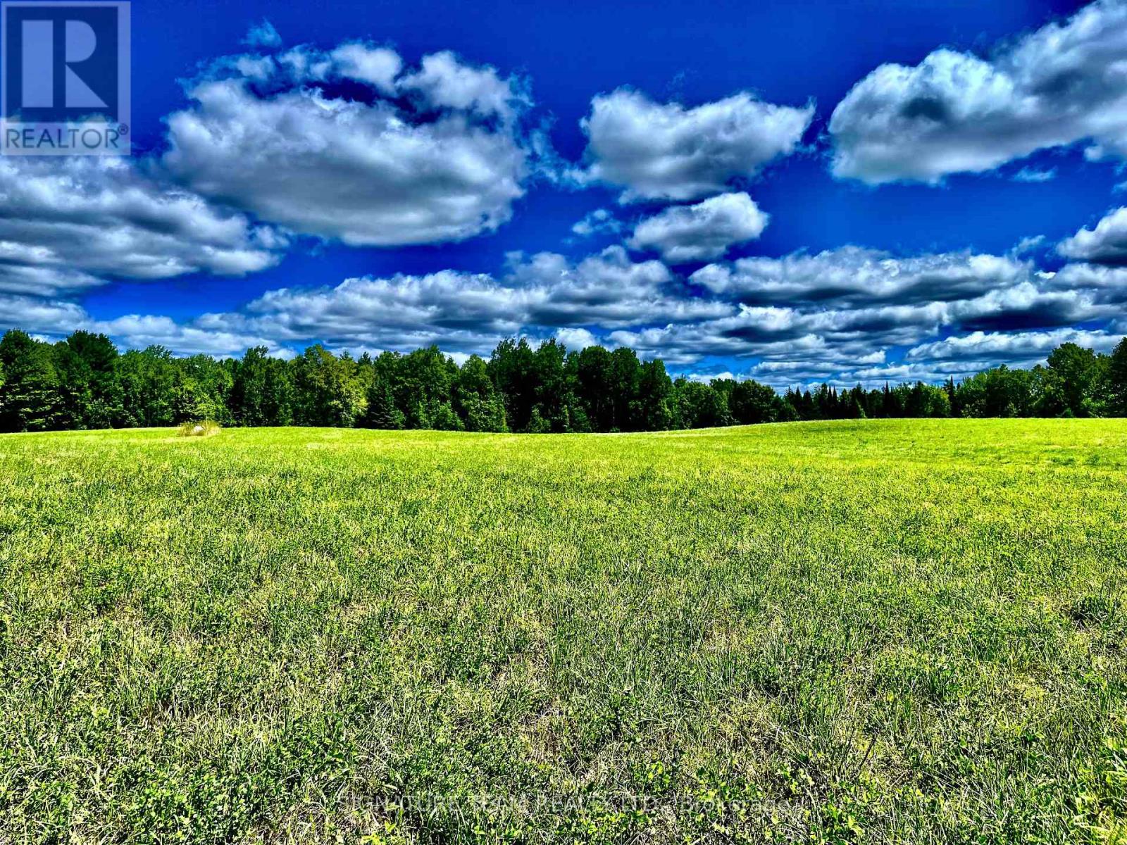 174 Budd Road Property Photo 32