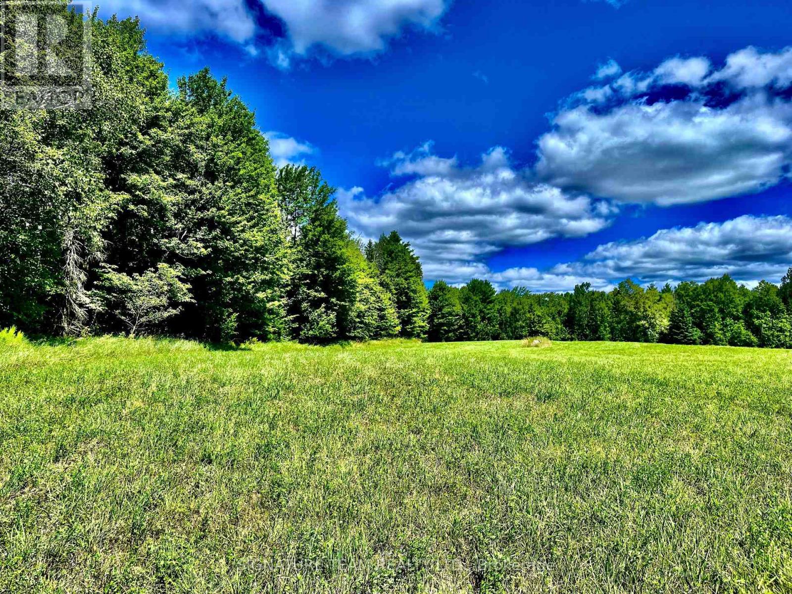 174 Budd Road Property Photo 33