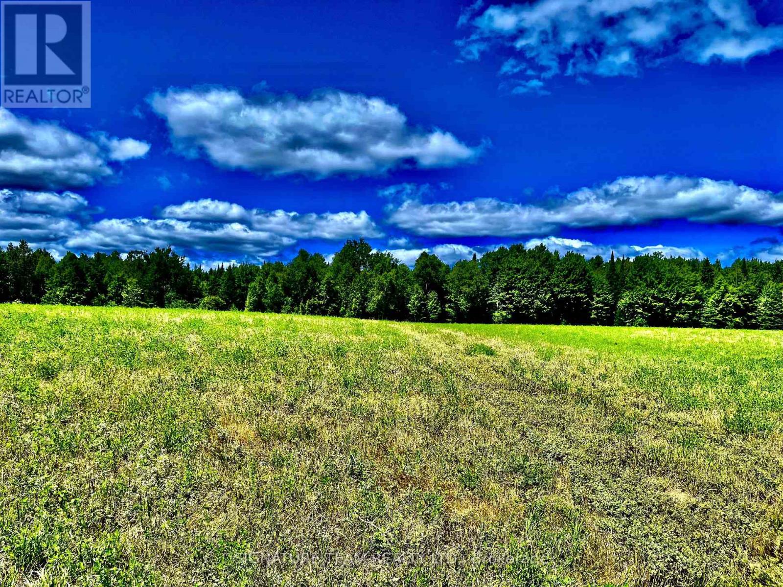 174 Budd Road Property Photo 35