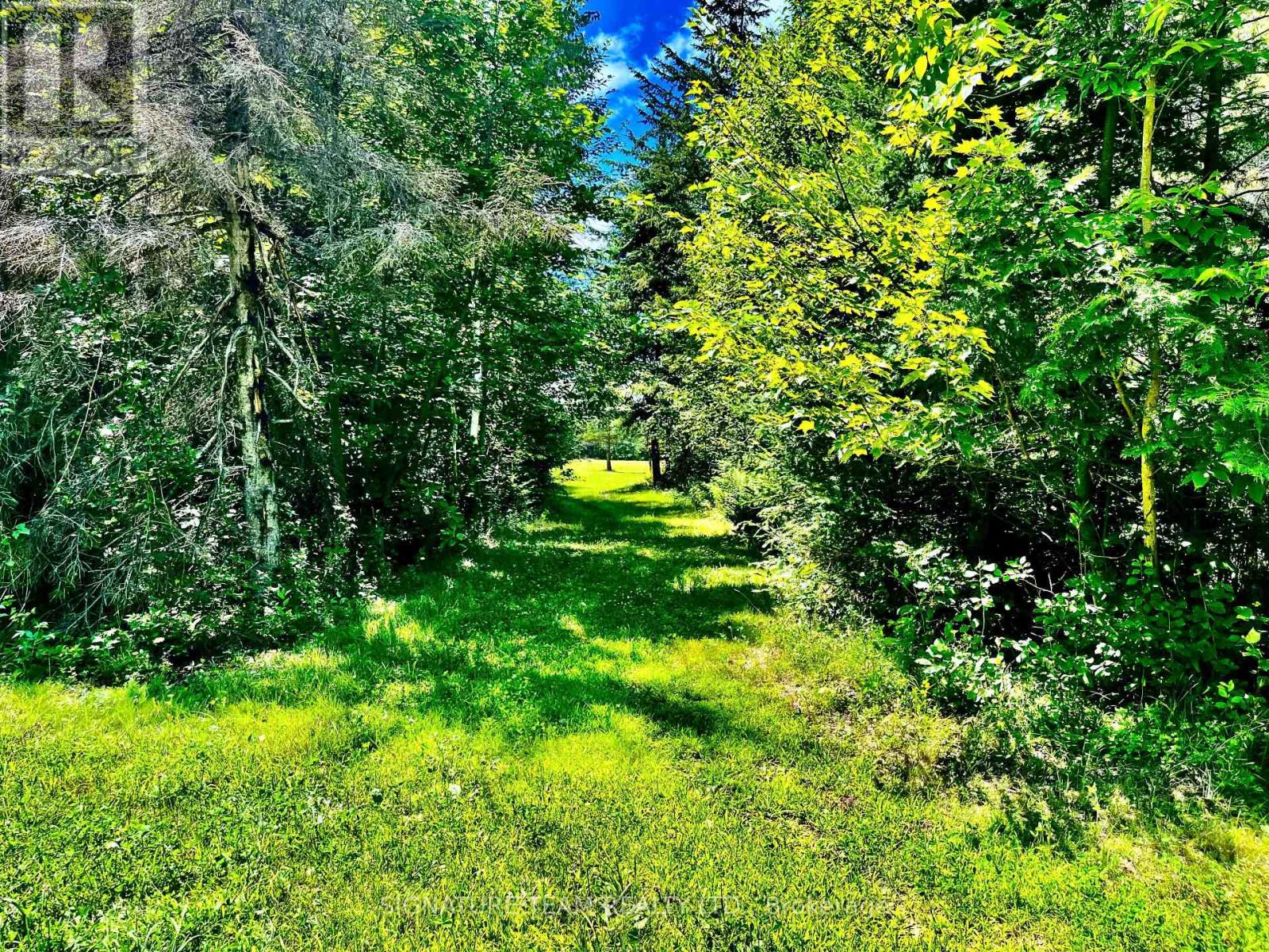 174 Budd Road Property Photo 38