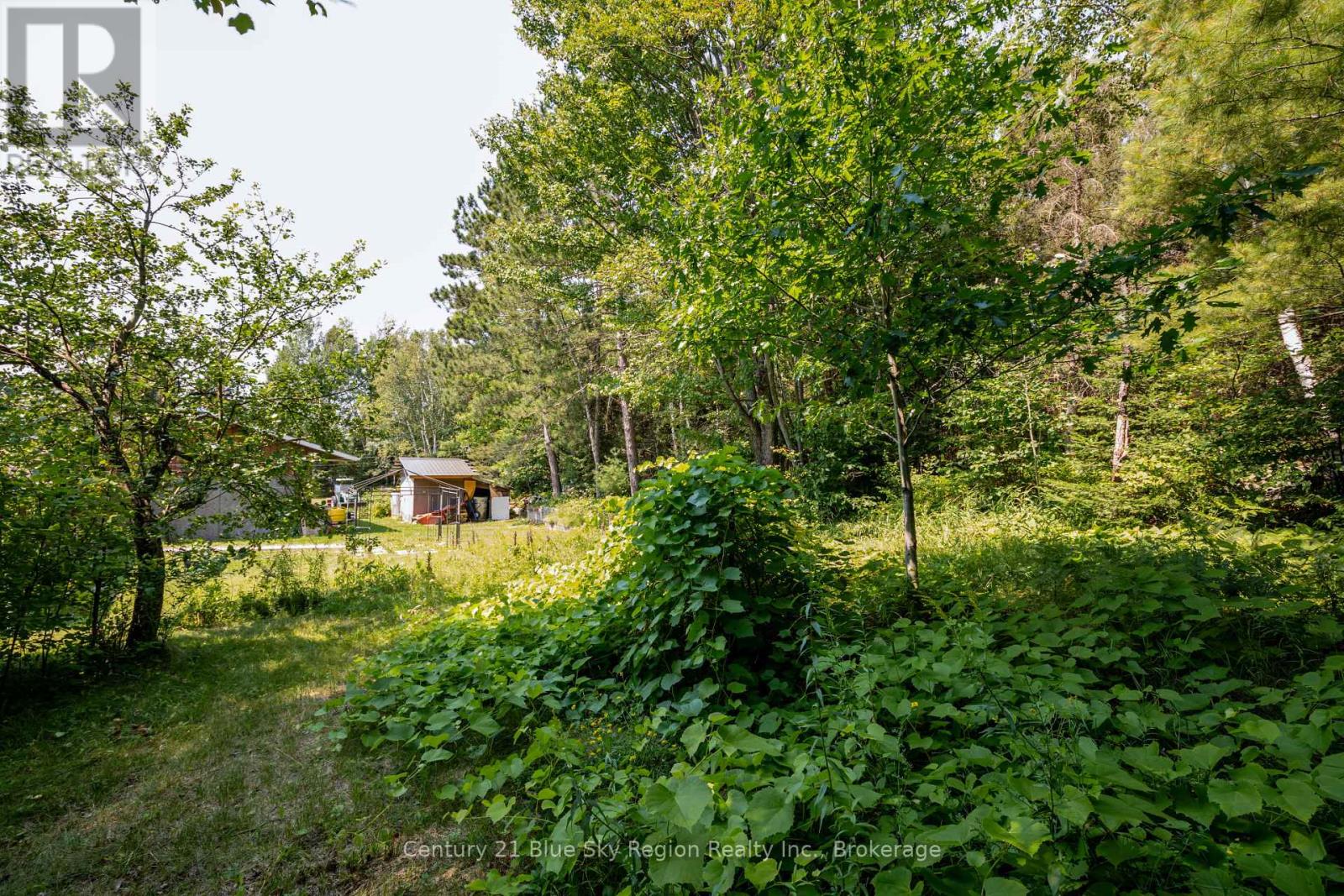 1351 Village Road Property Photo 38