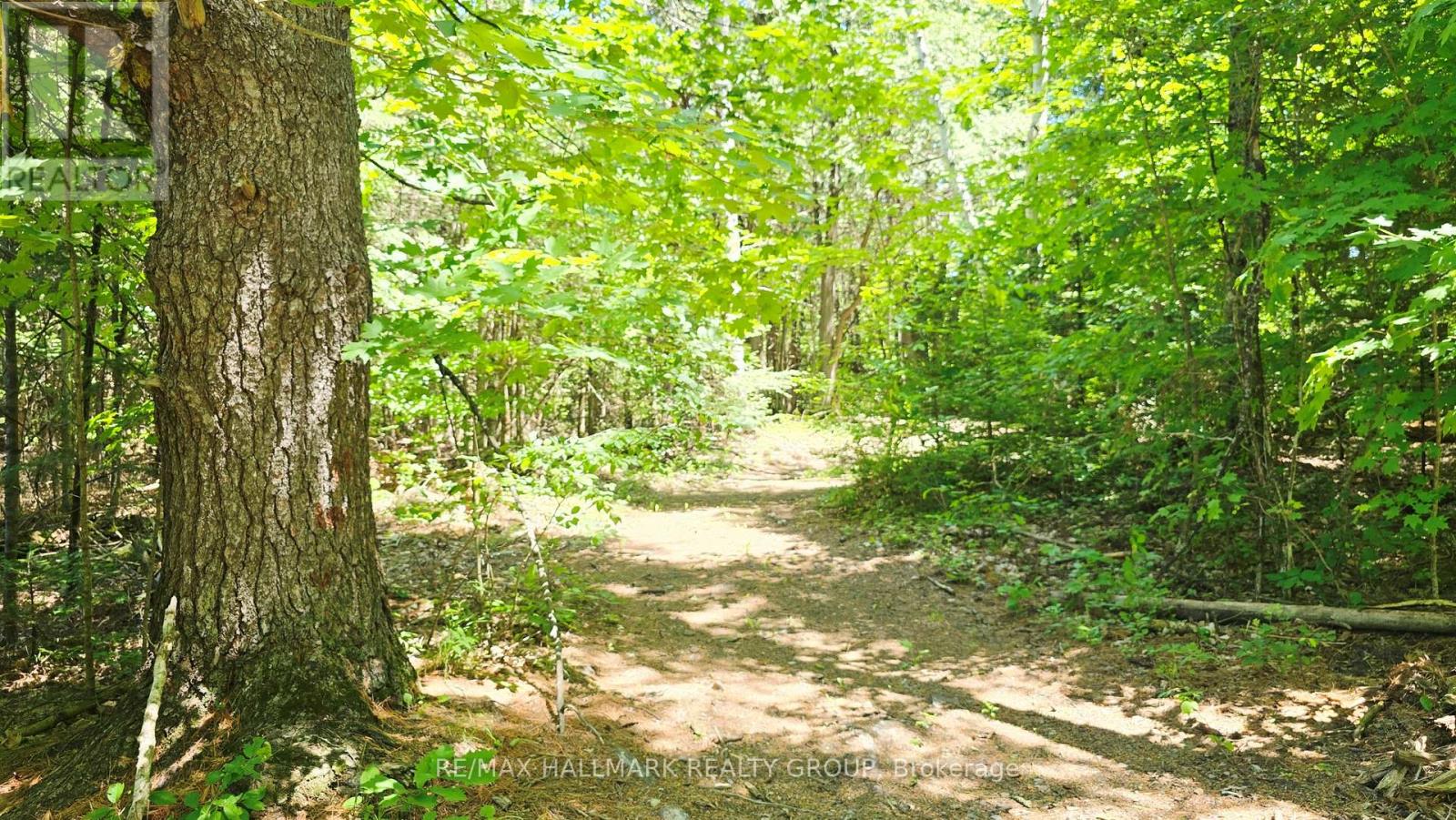 4318 Stonecrest Road Property Photo 30