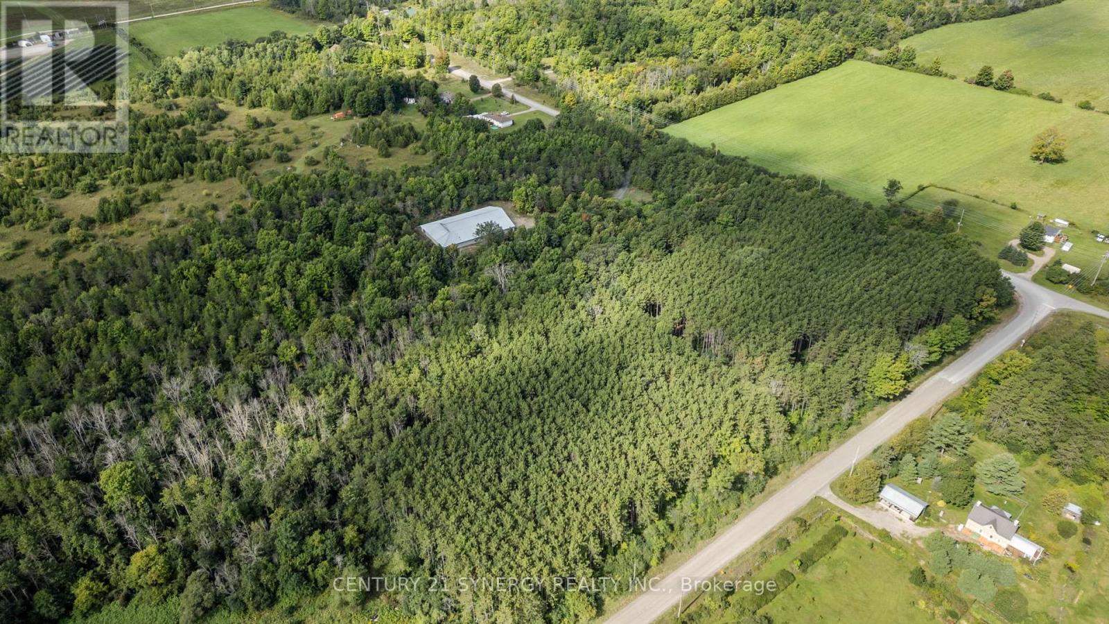 181 Drummond 1 Concession Property Photo 6