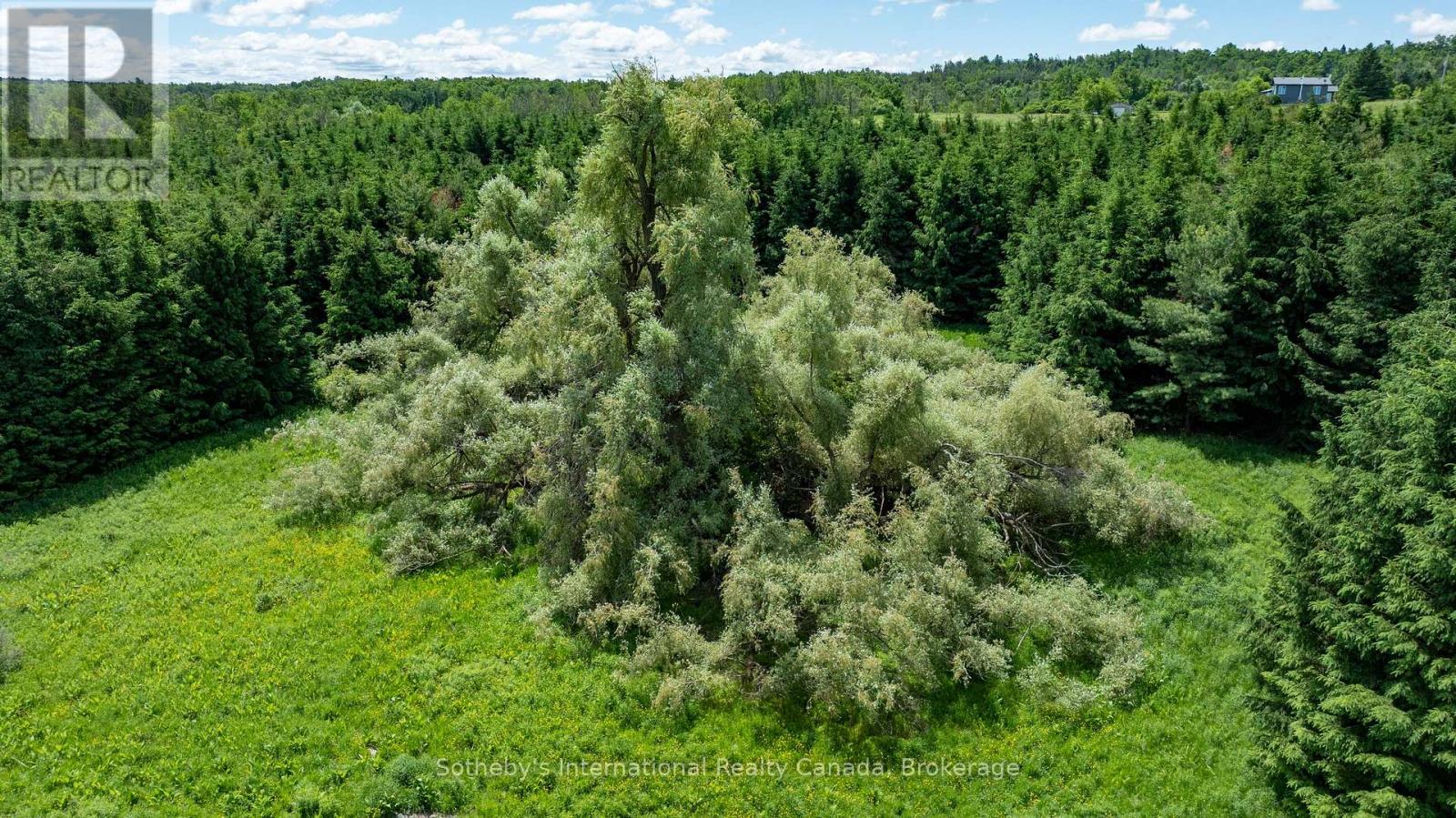 Lot 14 Con 2 1st Line E Ehs Property Photo 18