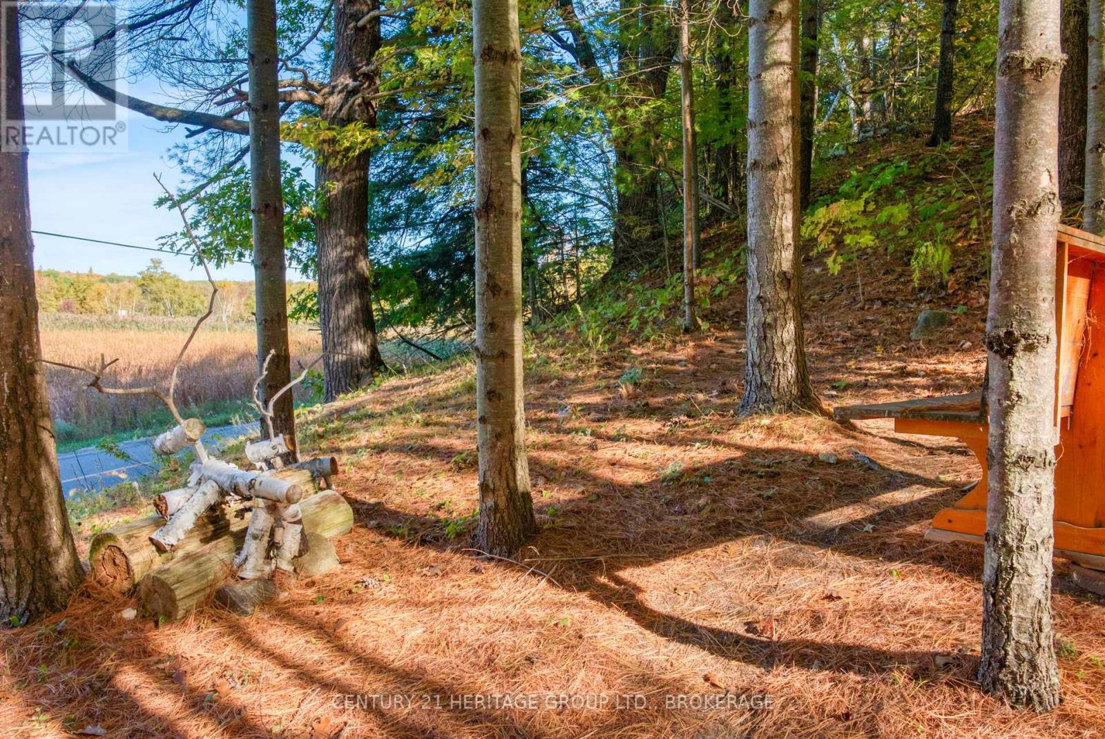 10874 Canoe Lake Road Property Photo 13