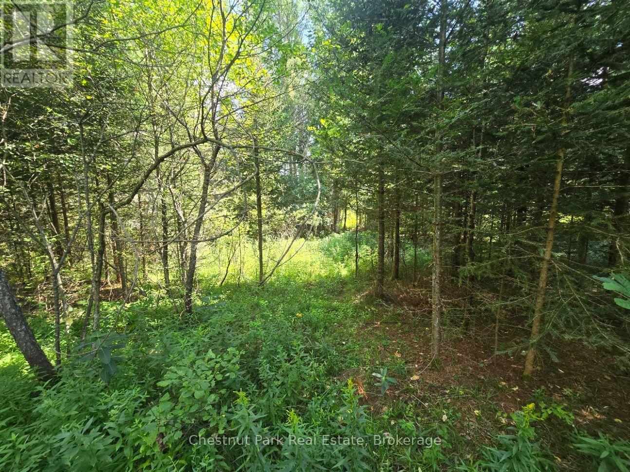 00 Gibbons Road Property Photo 17
