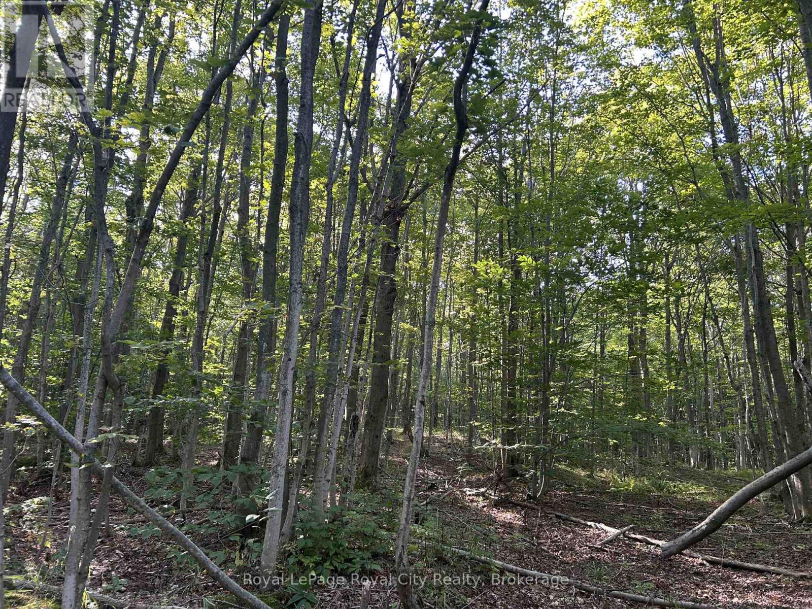 Pt Lt 9 Con 14 Ebr Pt 27 Concession Property Photo 4