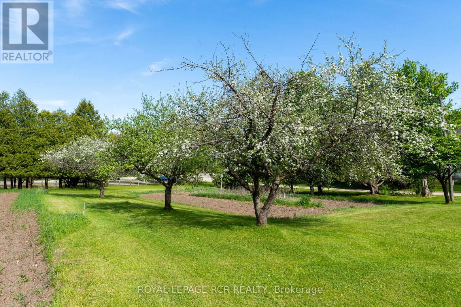953450 7th Line Property Photo 44