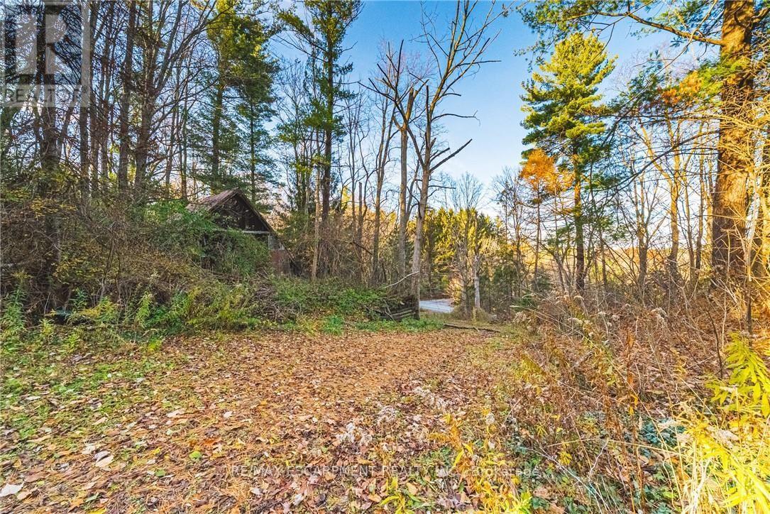 1296 Mineral Springs Road Property Photo 4