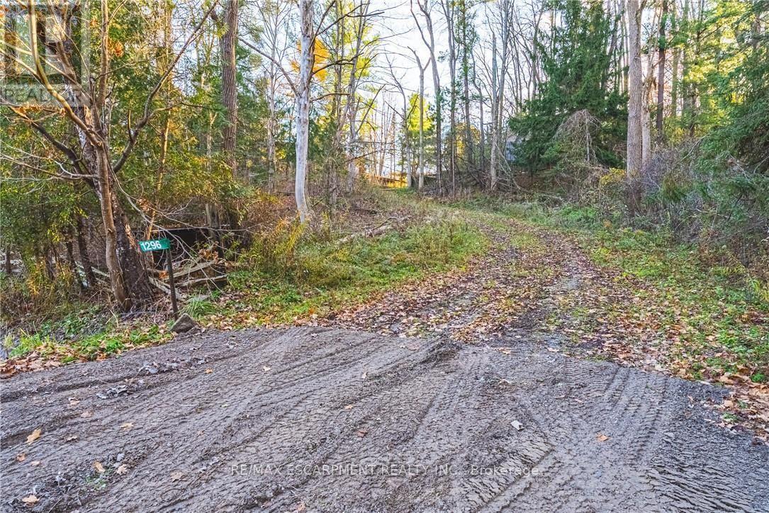 1296 Mineral Springs Road Property Photo 11