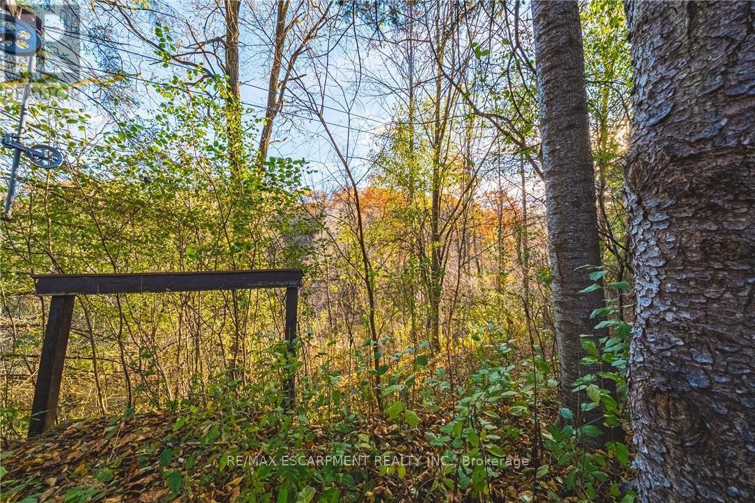1296 Mineral Springs Road Property Photo 13