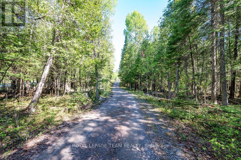 41 Harrison Trail Property Photo 25