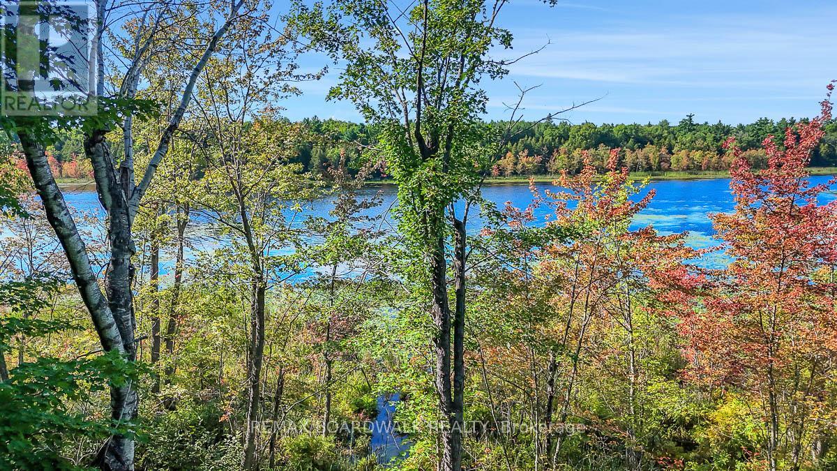 790 Ennis Road Property Photo 8