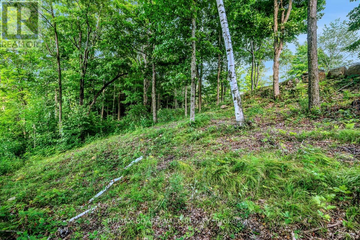790 Ennis Road Property Photo 23