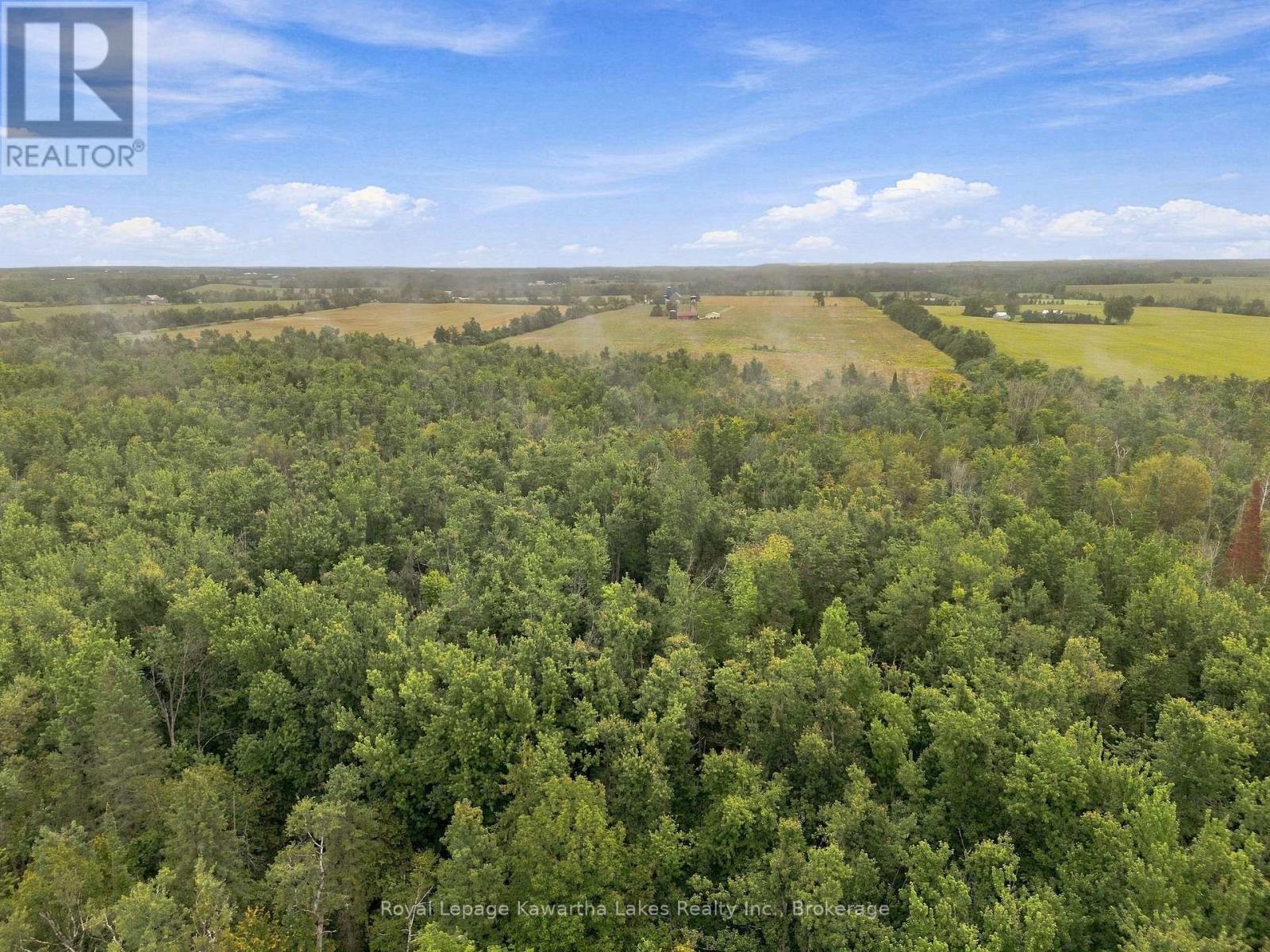 583 Hillhead Road Property Photo 15