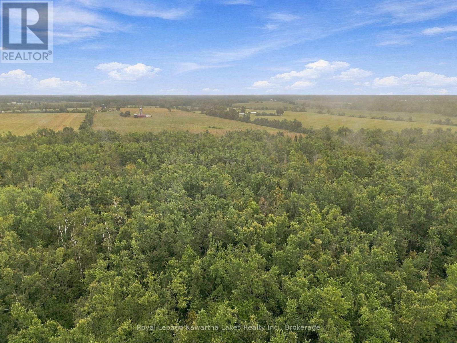 583 Hillhead Road Property Photo 16