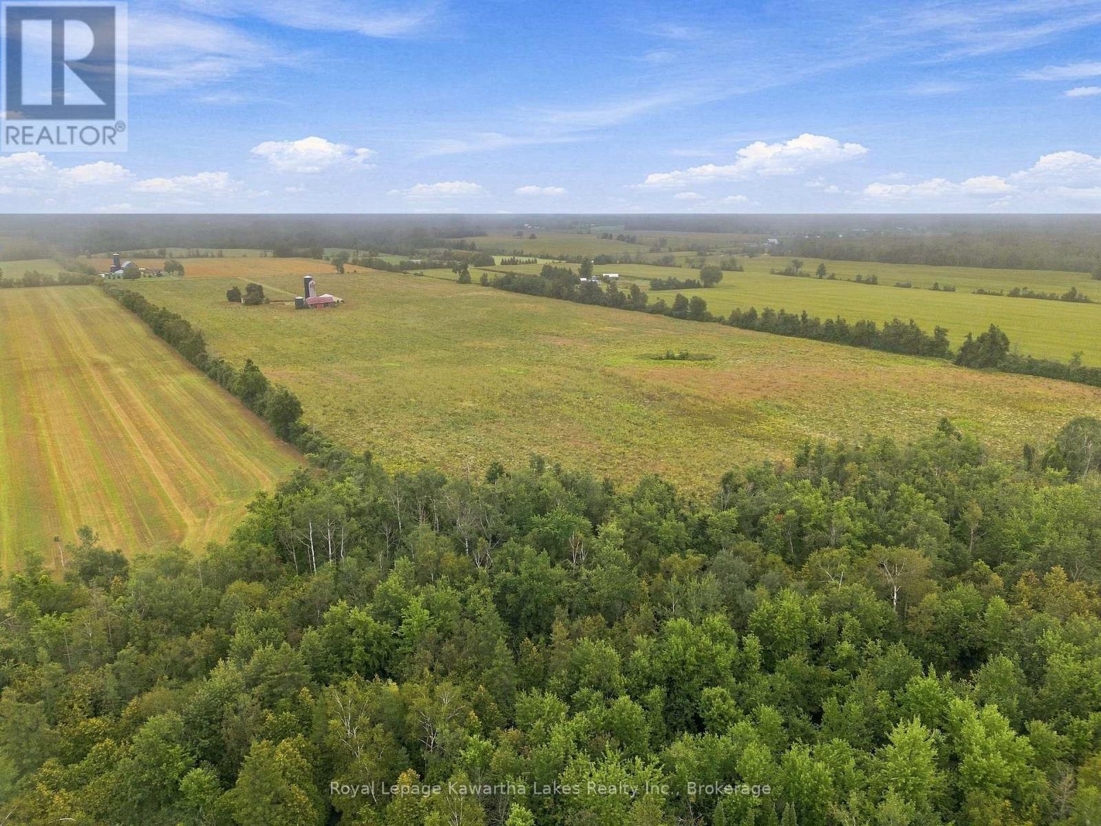 583 Hillhead Road Property Photo 17