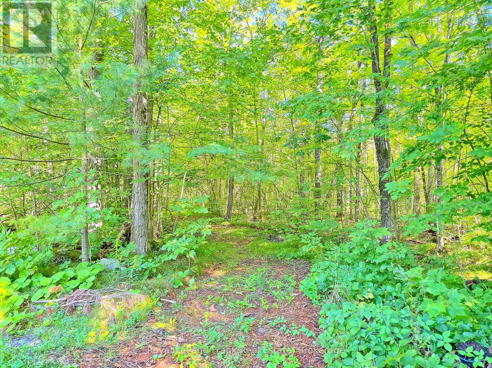 858 Mill Road Property Photo 40