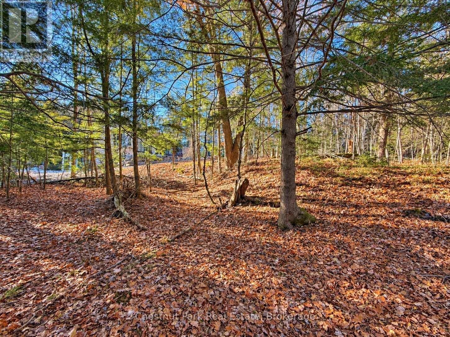 26 Blair Point Road Property Photo 4