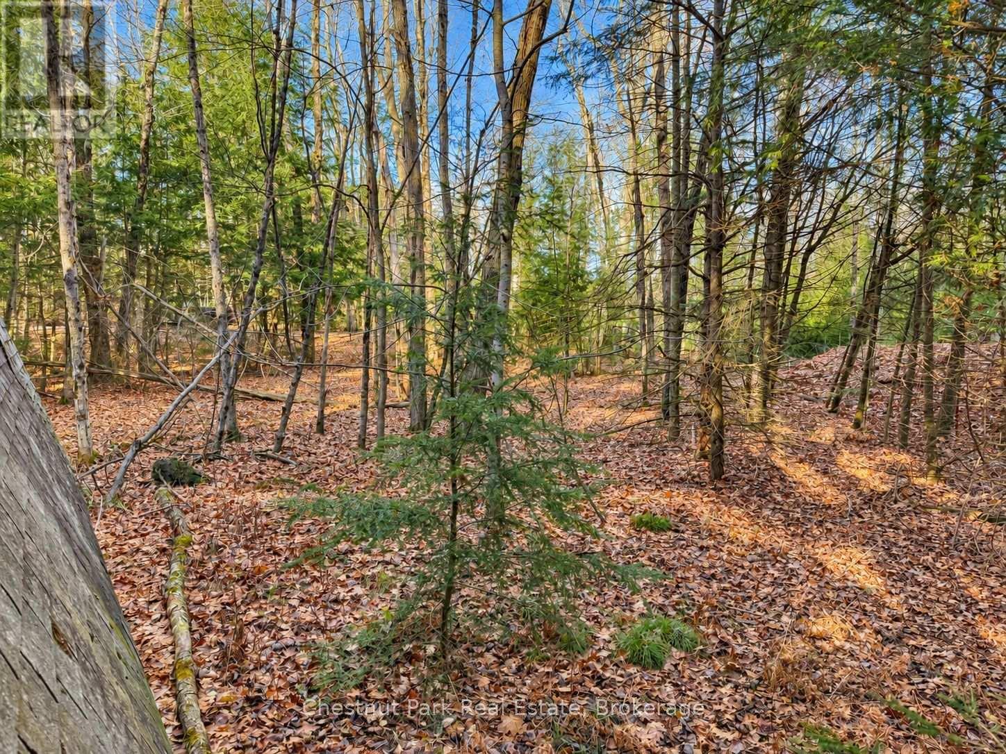 26 Blair Point Road Property Photo 10