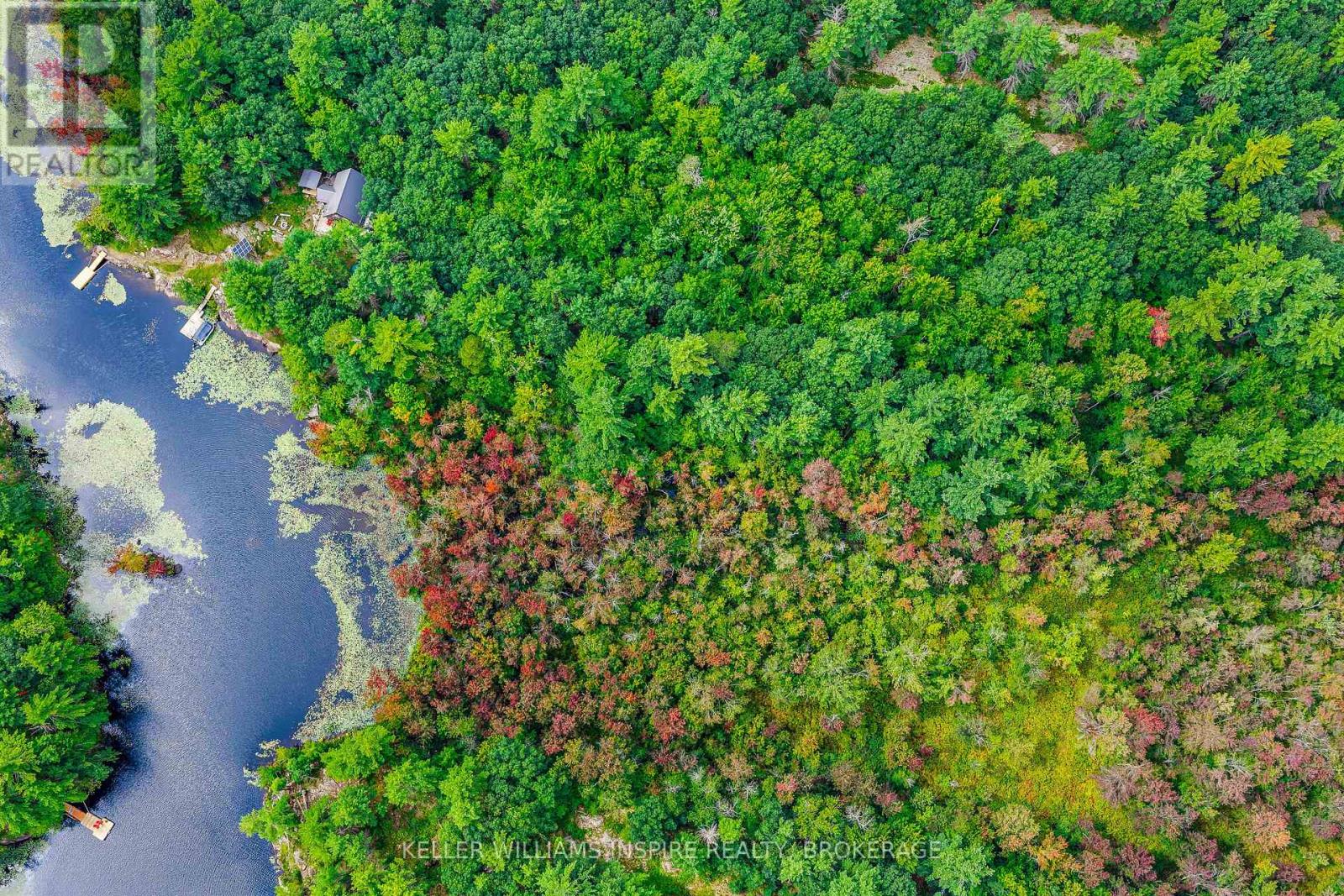 Pt Lt 22 Con 10 Sheffield Long Lake Property Photo 4