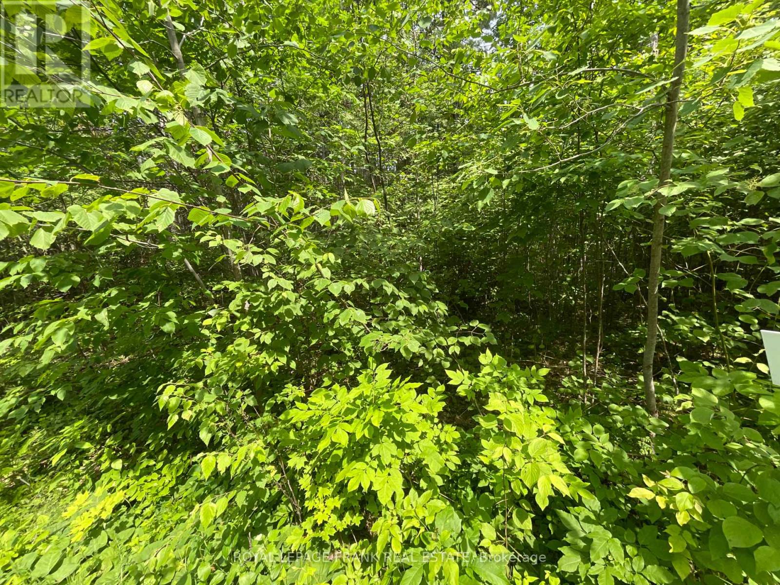 0 Sugarbush Crescent Property Photo 2