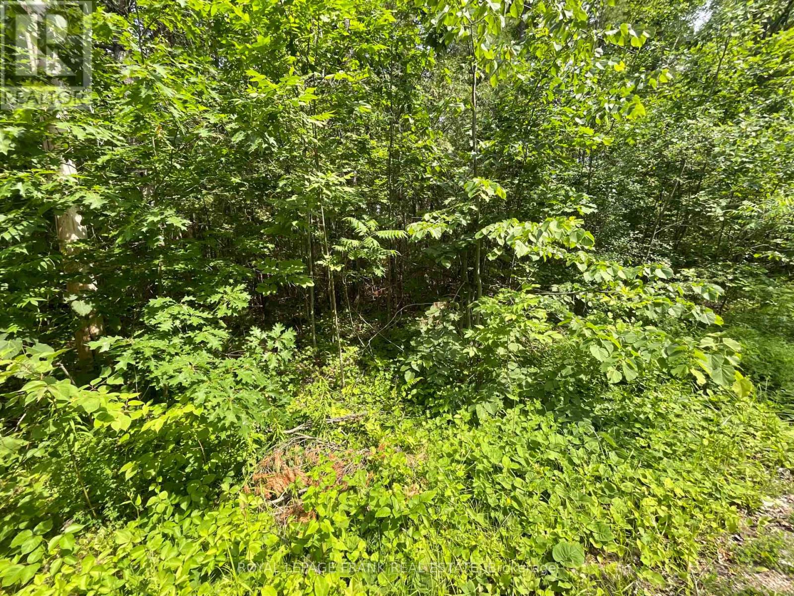 0 Sugarbush Crescent Property Photo 7
