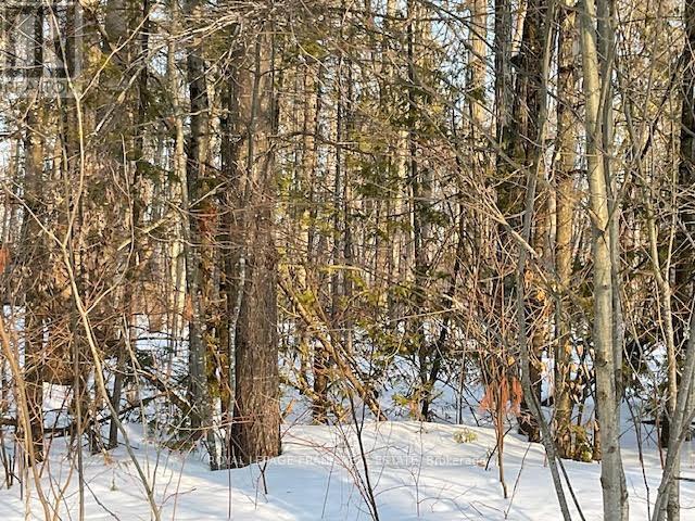 0 Sugarbush Crescent Property Photo 8