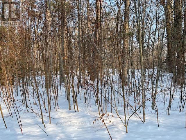 0 Sugarbush Crescent Property Photo 9